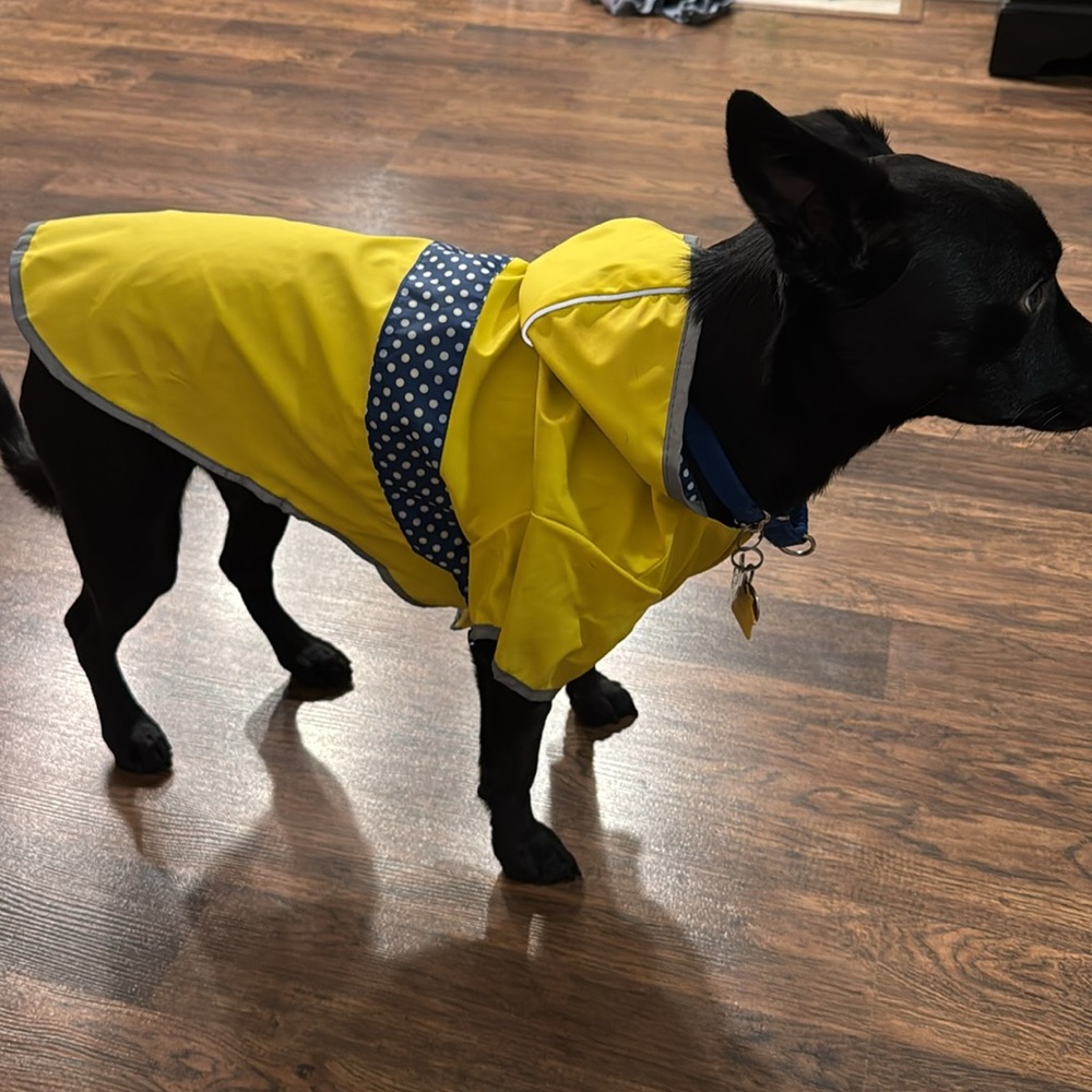 Good 2 Go  Rain Jacket  NWOT